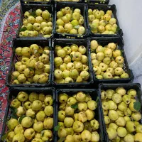 فروش به خوش طمع و ابدار