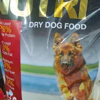 آف ویژه غذا خشک سگ  و گربه|لوازم جانبی حیوانات|بروجرد, |دیوار