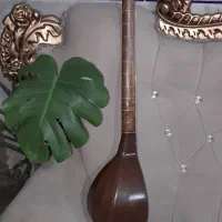 سه تار چوبی|سازهای سنتی|اصفهان, گلستان|دیوار