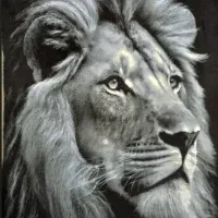 تابلو فرش دستبافت تبریز