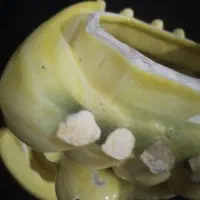 لوازم شخصی|کلکسیون اشیاء عتیقه|قم, ولیعصر|دیوار