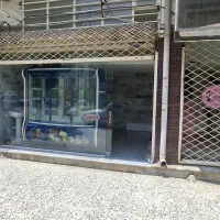 یخچال ویترینی