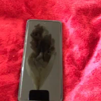 شیائومی ۱۴ نوت پرو نو نو کار نکرده پلمپ|موبایل|شیراز, کوشک میدان|دیوار