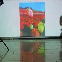 پروژکشن سینمایی پاناسونیک PT-F300