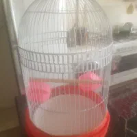 قفس بزرگ پرنده