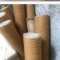 فروش درخت گربه