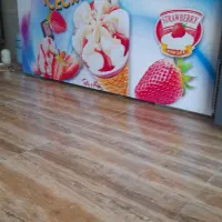 فریزر بستنی فروشگاهی