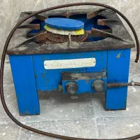 تکشعله‌ بزرگ‌ سالم