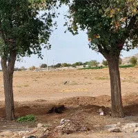 فروش-زمین-مسکونی-جنت-آباد