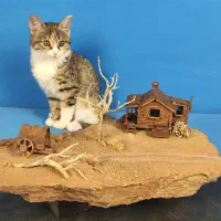 دیوراما وسترن رومیزی، دکوری، ماکت دستساز