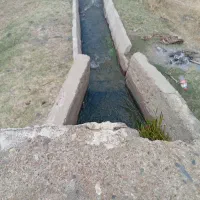 طبیعت