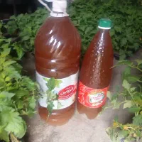 سرکه انگور خانگی اصل ۴ ساله