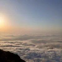 نیازمند ادمین اینستاگرام
