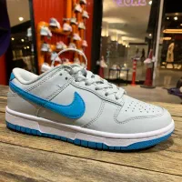 نایک جردن SB زنانه + ۹۰ رنگ جذاب