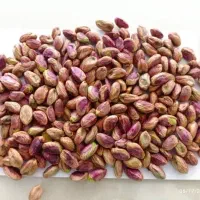 پسته دهن بست روآبی و کلو وپوک