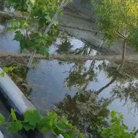 باغ بهشت تبریز سهند اسکو|فروش خانه و ویلا|اسکو, |دیوار