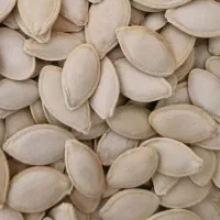 تخمه کدوخام عمده|خوردنی و آشامیدنی|تهران, ترمینال غرب|دیوار