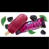 پخش بستنی دایتی همراه با تحویل فریزر