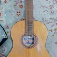 گیتار|گیتار، بیس، امپلیفایر|فردیس, فردیس|دیوار