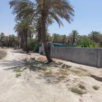 فروش-زمین-دیوار-کشی-انجام-شده