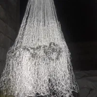 تور ماهیگیری( سالی)