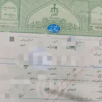 زمین مسکونی  واقع در مهران