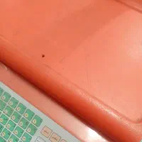 فروشنده خانم