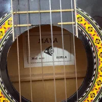 گیتار|گیتار، بیس، امپلیفایر|تهران, تهرانپارس جنوبی|دیوار