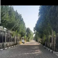 تهراندشت-سعید-اباد-زمین-شهرکی-833-متر