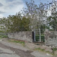 باغ فروشی رابر