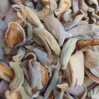 پوست بادام خشک  استهبان