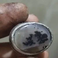 انگشتر شجر کهنه قدیمی