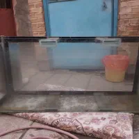اکواریوم|ماهی|چناران, |دیوار