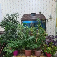 استخدام مشاور خانم و آقا نیازمندیم|استخدام بازاریابی و فروش|گلبهار, شهر جدید گلبهار|دیوار