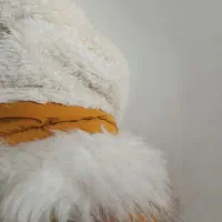 کاپشن نو چند بار بیشتر پوشیده نشده مناسب ۱۲سال|لباس|قزوین, |دیوار