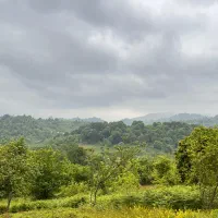 زمین-باغی-3000-متر-با-سند-تک-برگ