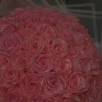 کادو|گل مصنوعی|کرج, گلشهر|دیوار