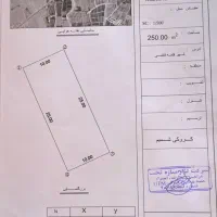 زمین تجاری مسکونی 250متر|فروش زمین و ملک کلنگی|قلعه قاضی, |دیوار