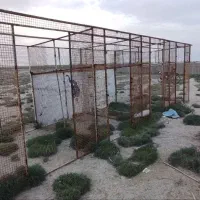 قفس پرنده و سگ
