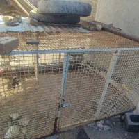 قفس آهنی مرتب وضخیم دودرب سنگین|لوازم جانبی حیوانات|تربت جام, جلگه موسی آباد|دیوار