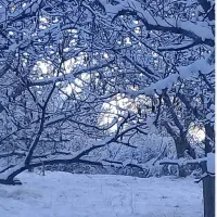 طبیعت گردی گروهی