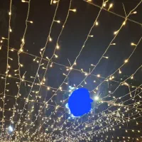 استخدام نیرو برای رستوران موزه اب