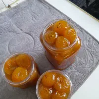 هندوانه‌ی‌کوهی‌یاهمان‌داغ‌قارپیزی|خوردنی و آشامیدنی|تبریز, |دیوار