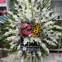 گل رز طبیعی هلندی فقط شاخه ای ۱۵|گل و گیاه طبیعی|قم, انصار‌الحسین|دیوار
