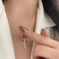 نیم ست گل رز|بدلیجات|پاکدشت, پاکدشت (مامازند)|دیوار