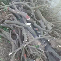 یک کامیون پر