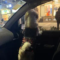 استخدام نیرو کمکی منزل