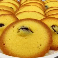 فروشنده خانم نیازمندیم