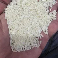 برنج تایلندی