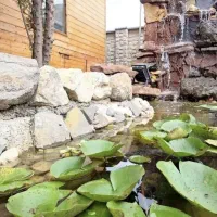 بودجت کمه نگران نباش زمین سنددارباویلاکلبه سویسی|فروش زمین و ملک کلنگی|نور, |دیوار